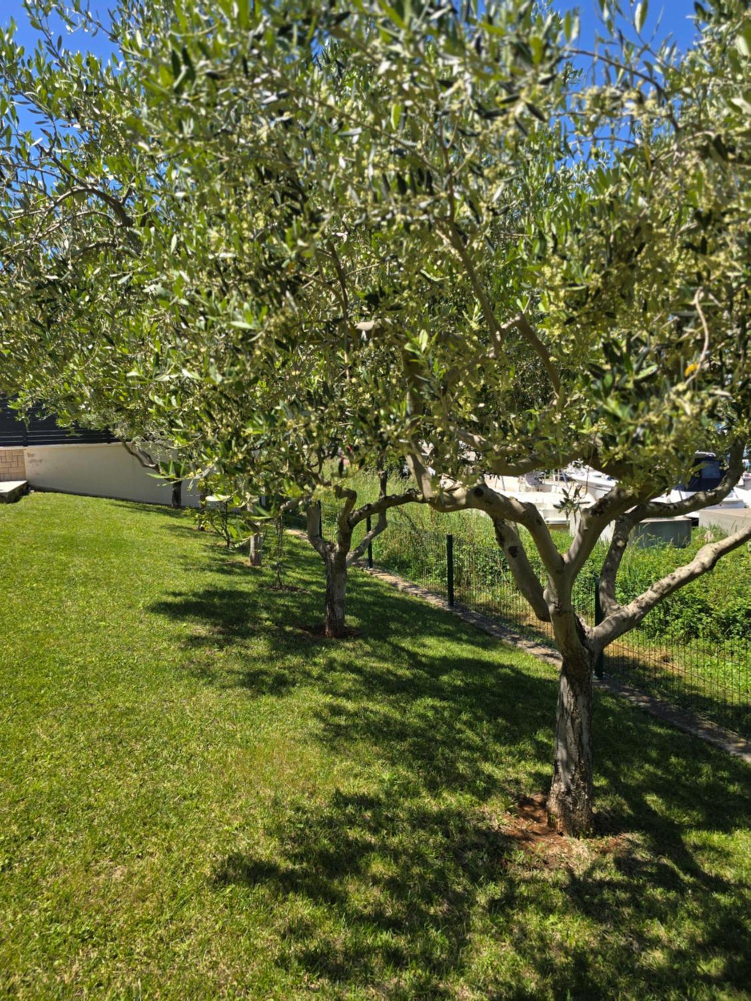 Olive Garden, Apartment With A Private Pool 班约勒 外观 照片